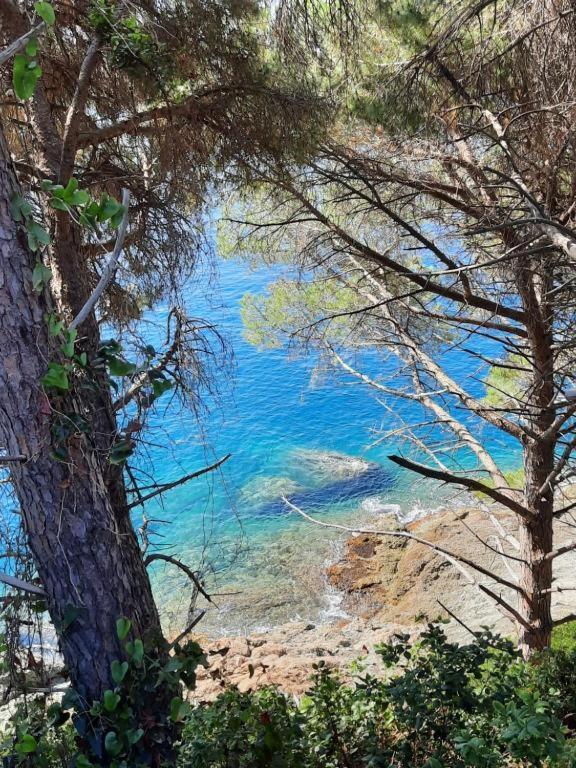 Appartamento Il Vicoletto La Spezia Kültér fotó