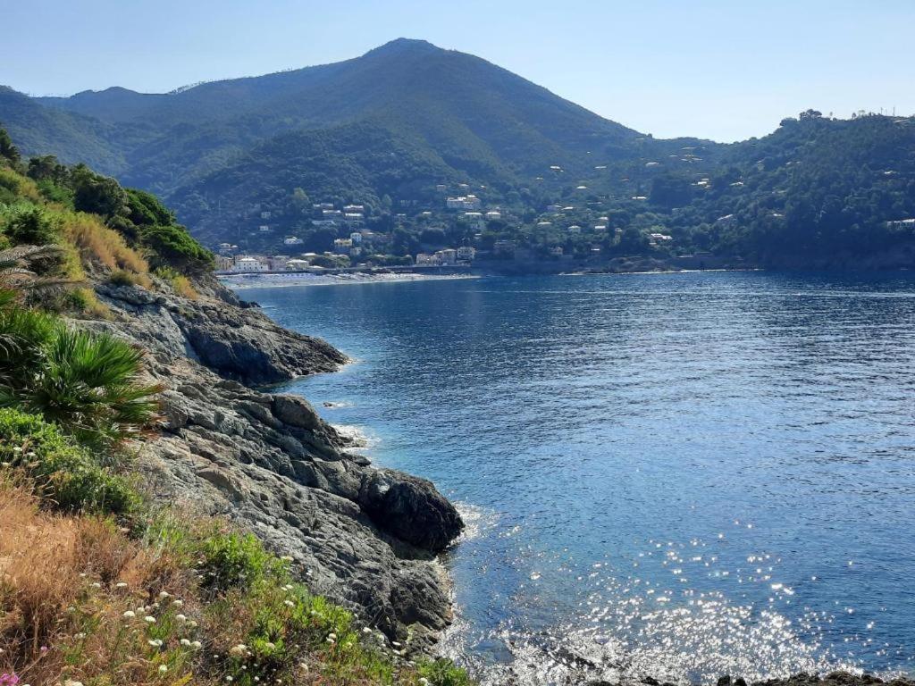 Appartamento Il Vicoletto La Spezia Kültér fotó